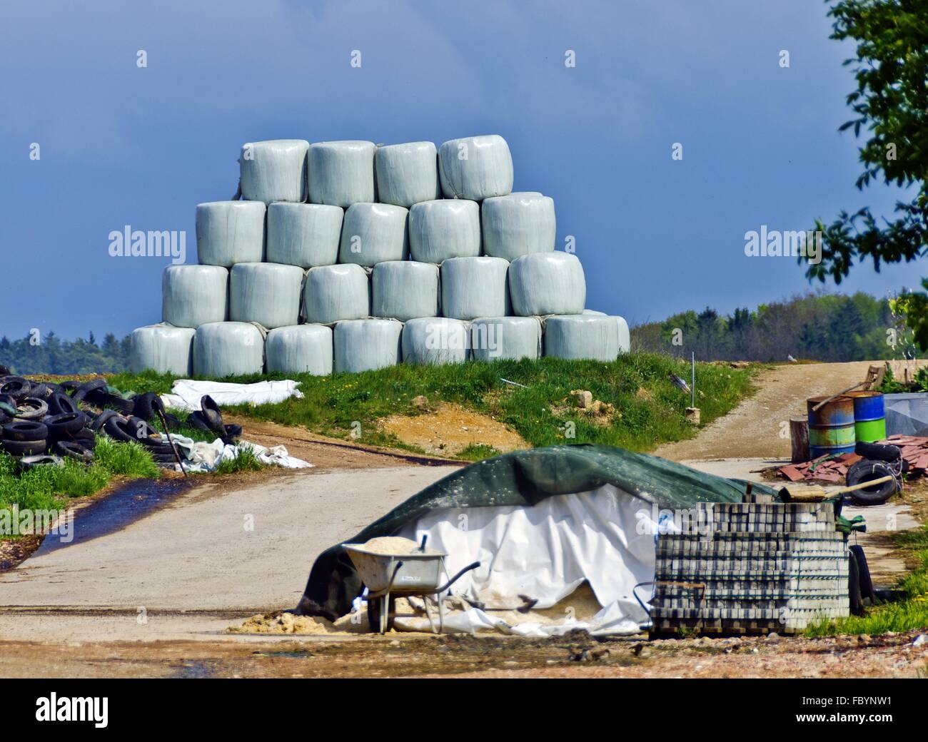 bales of silage wrapped in waterproof film Stock Photo