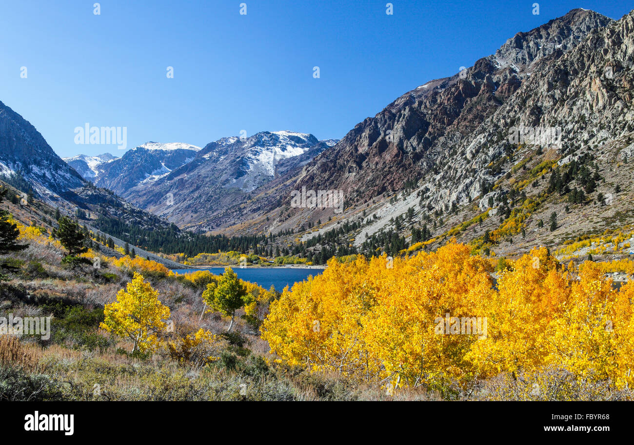 Fall color in Lundy Canyon in the Eastern Sierra in Northern California