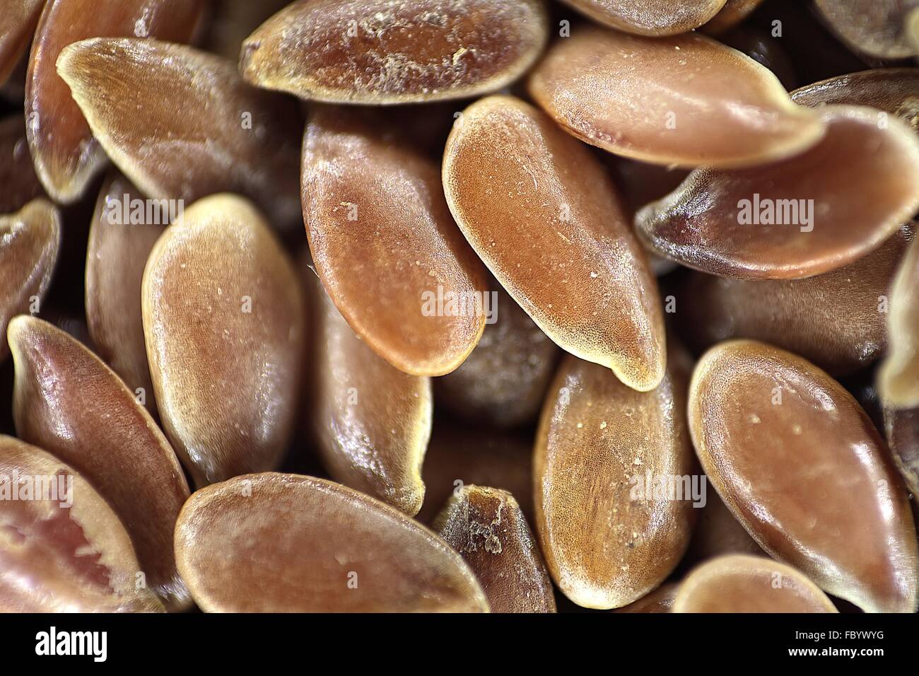 Leinsamen Makro Foto Stock Photo