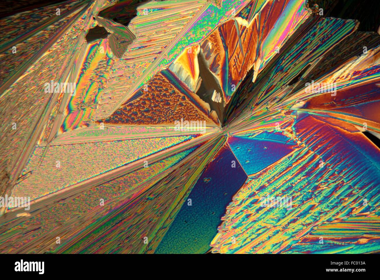 Erbiumnitrat unter dem Mikroskop Stock Photo