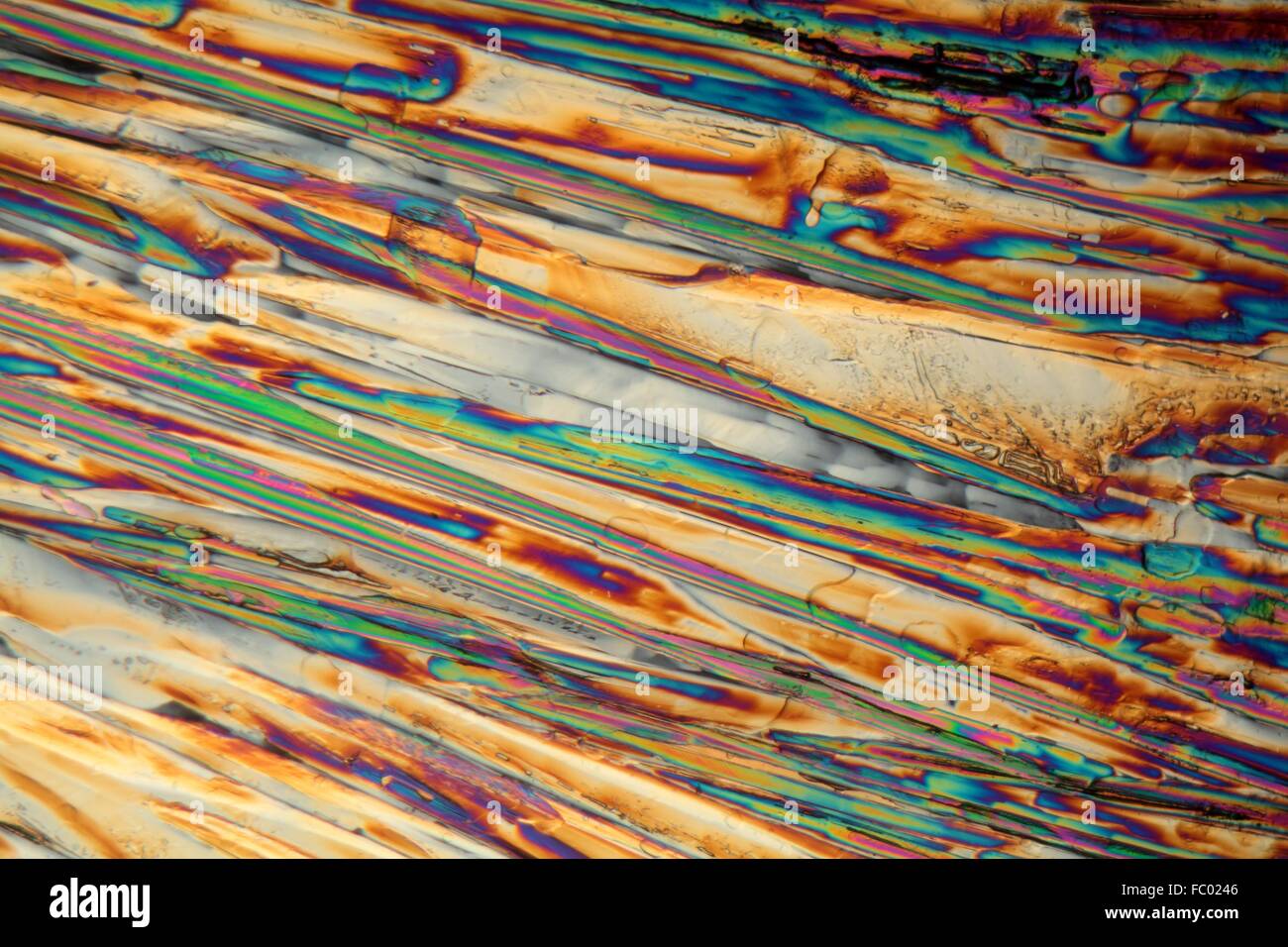 Magnesiumsulfat unter dem Mikroskop Stock Photo