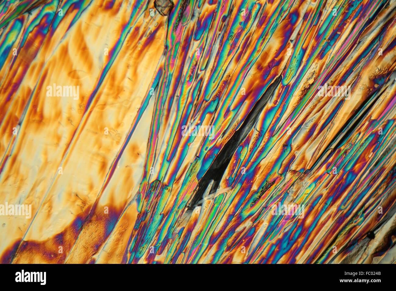 Magnesiumsulfat (Epsom) unter dem Mikroskop Stock Photo