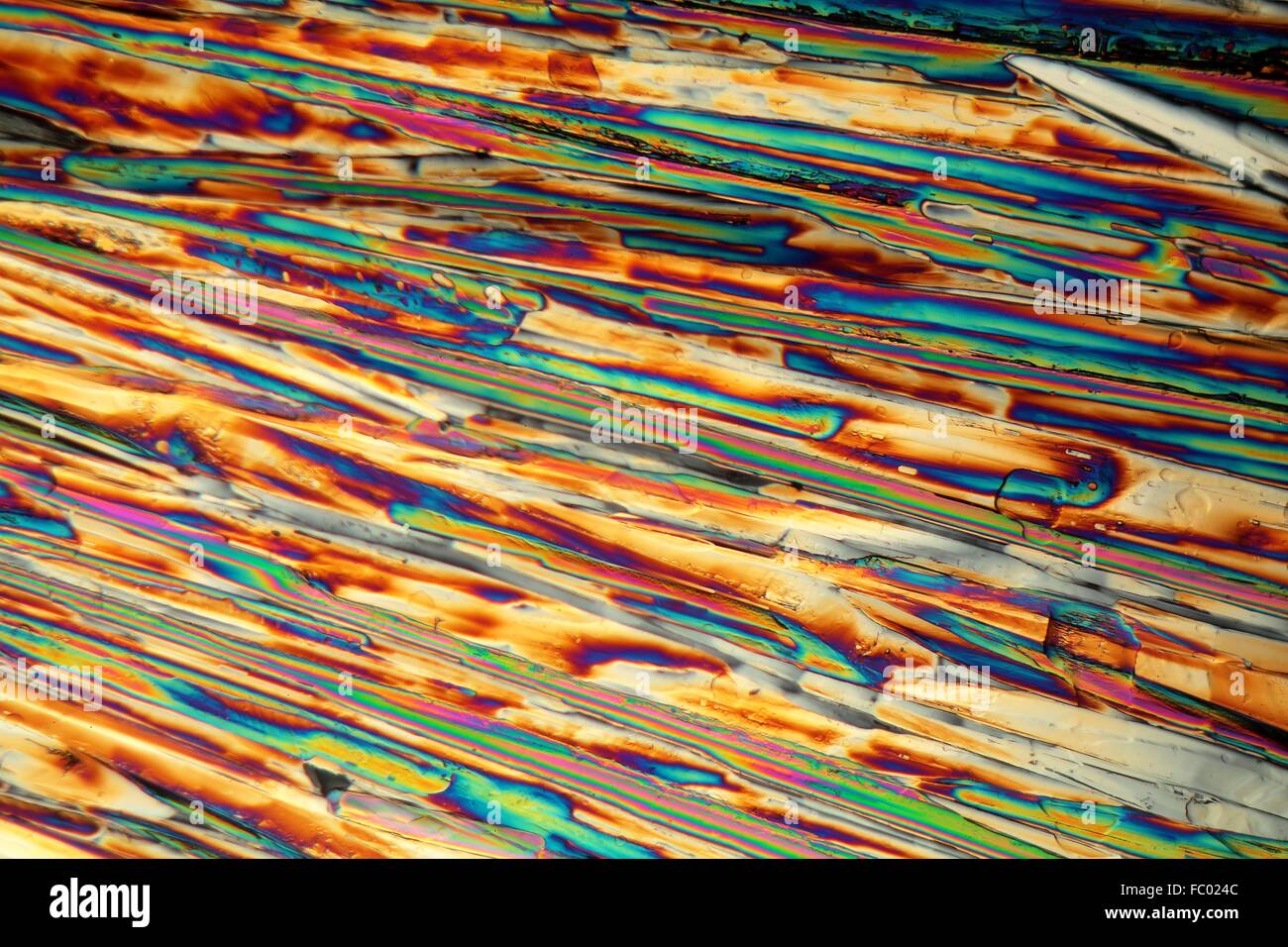 Magnesiumsulfat unter dem Mikroskop Stock Photo