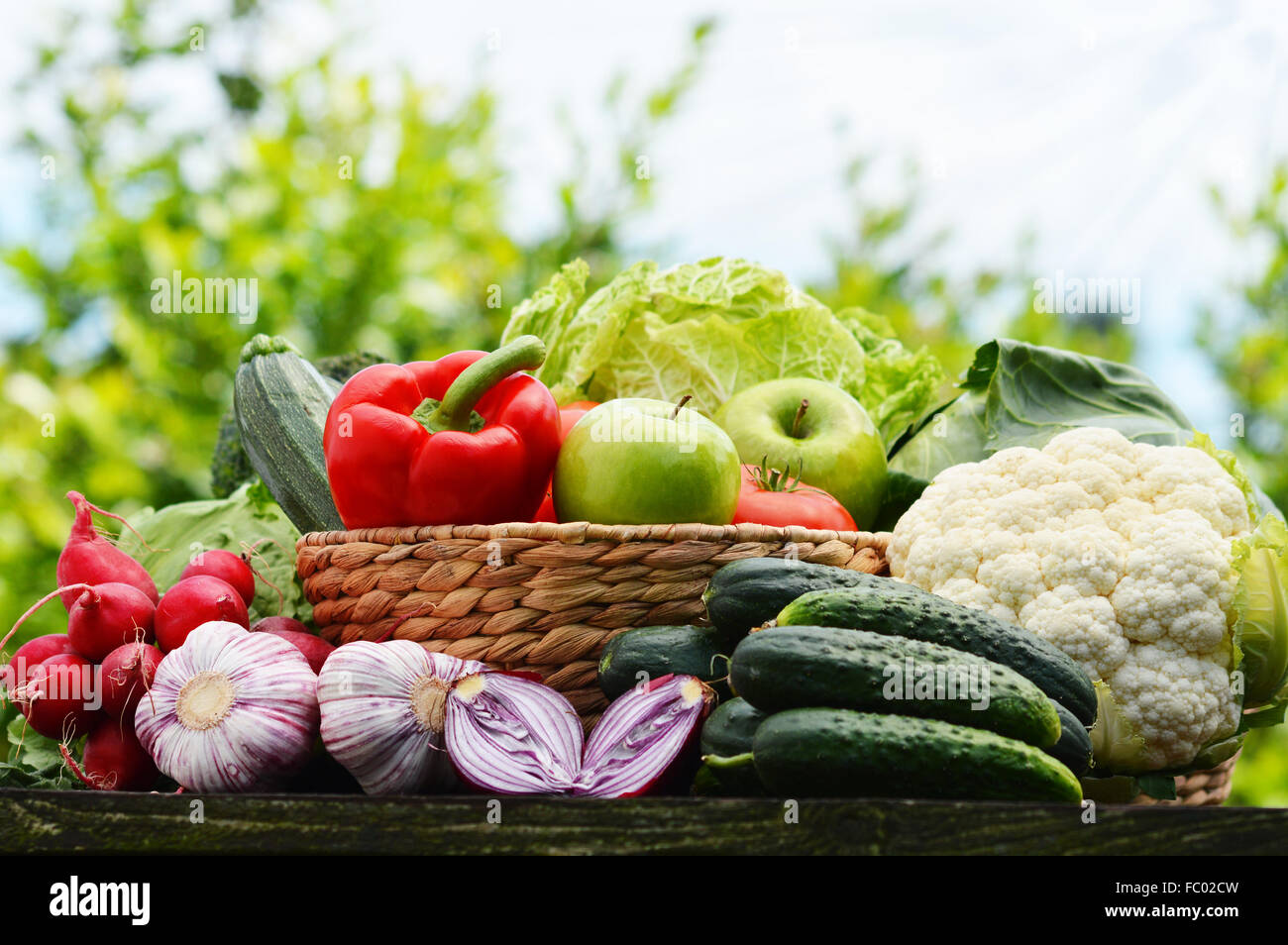 Fresh organic vegetables in wicker basket in the garden Stock Photo - Alamy