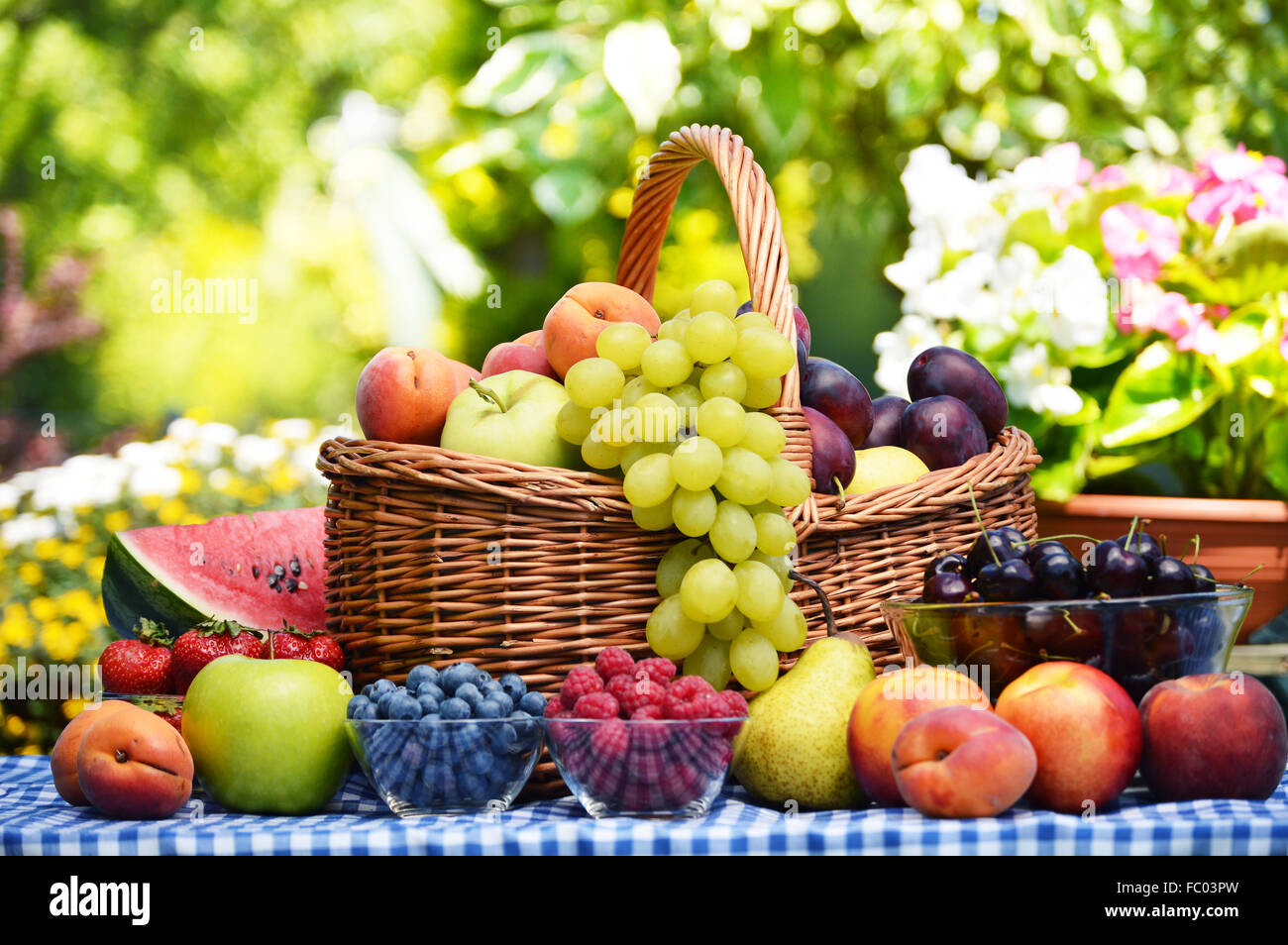 Basket of fresh organic fruits in the garden Stock Photo - Alamy