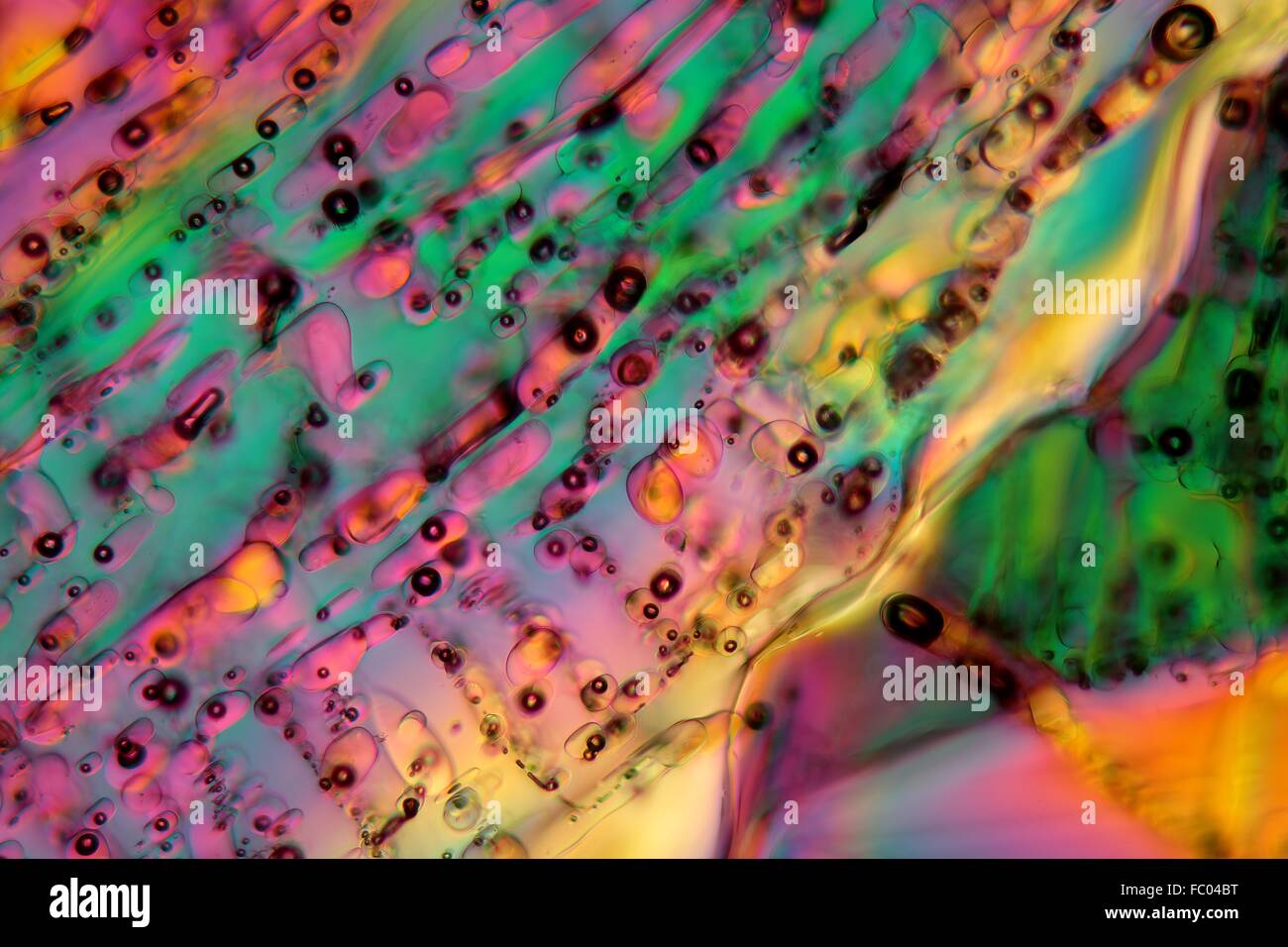 Ice crystals under the microscope. Stock Photo