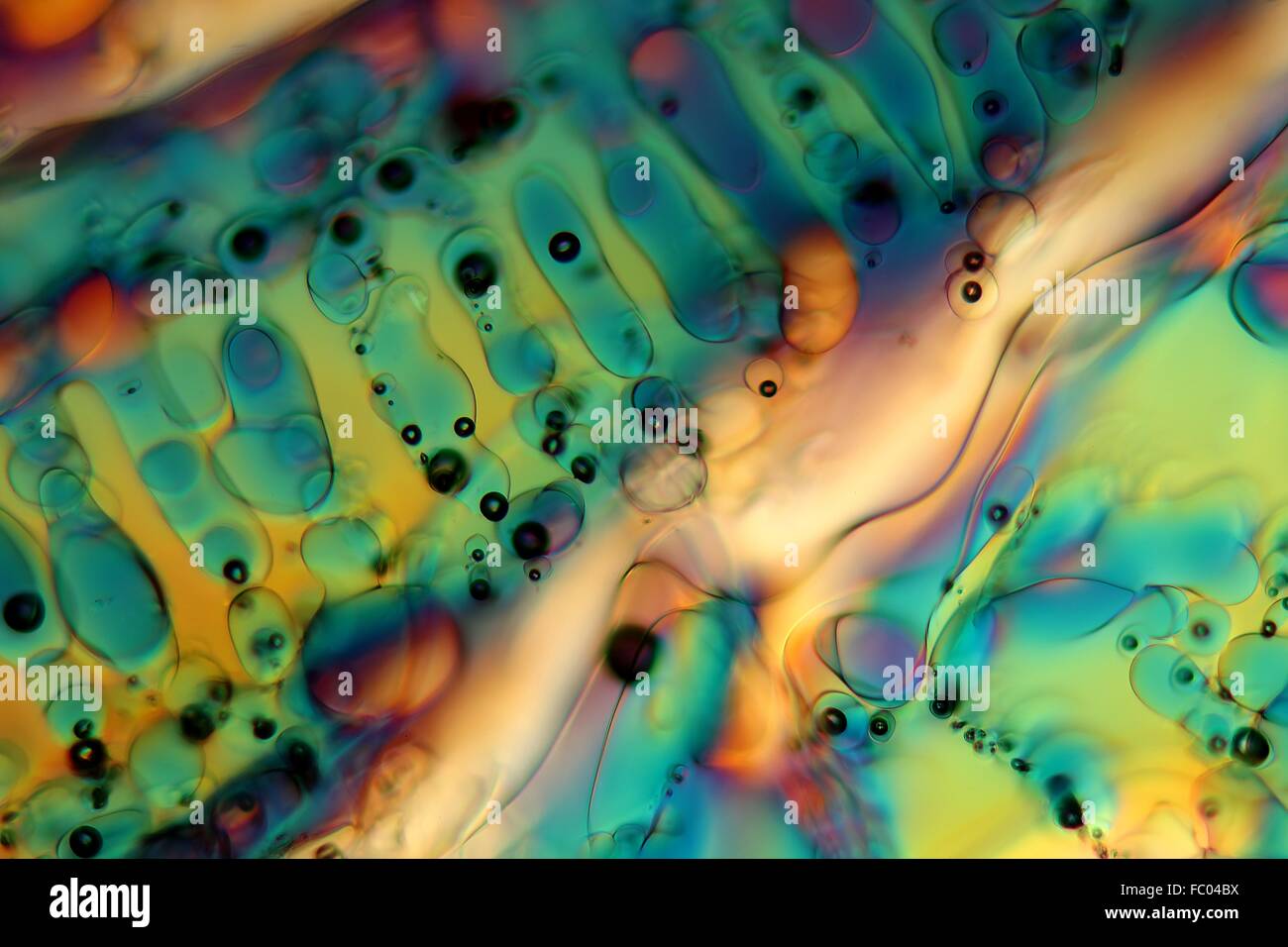 Ice crystals under the microscope. Stock Photo