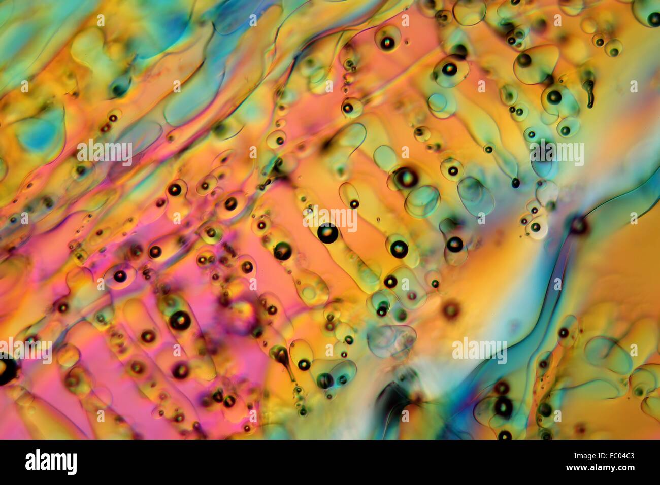 Eiskristalle unter dem Mikroskop. Stock Photo