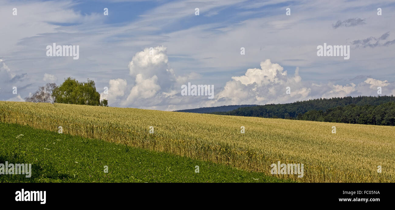 Field landscape, Bibern Schweiz Stock Photo