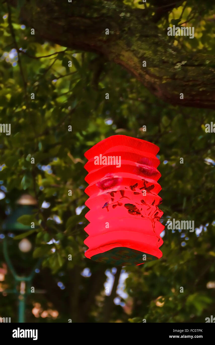 Paper lamp in a tree Stock Photo