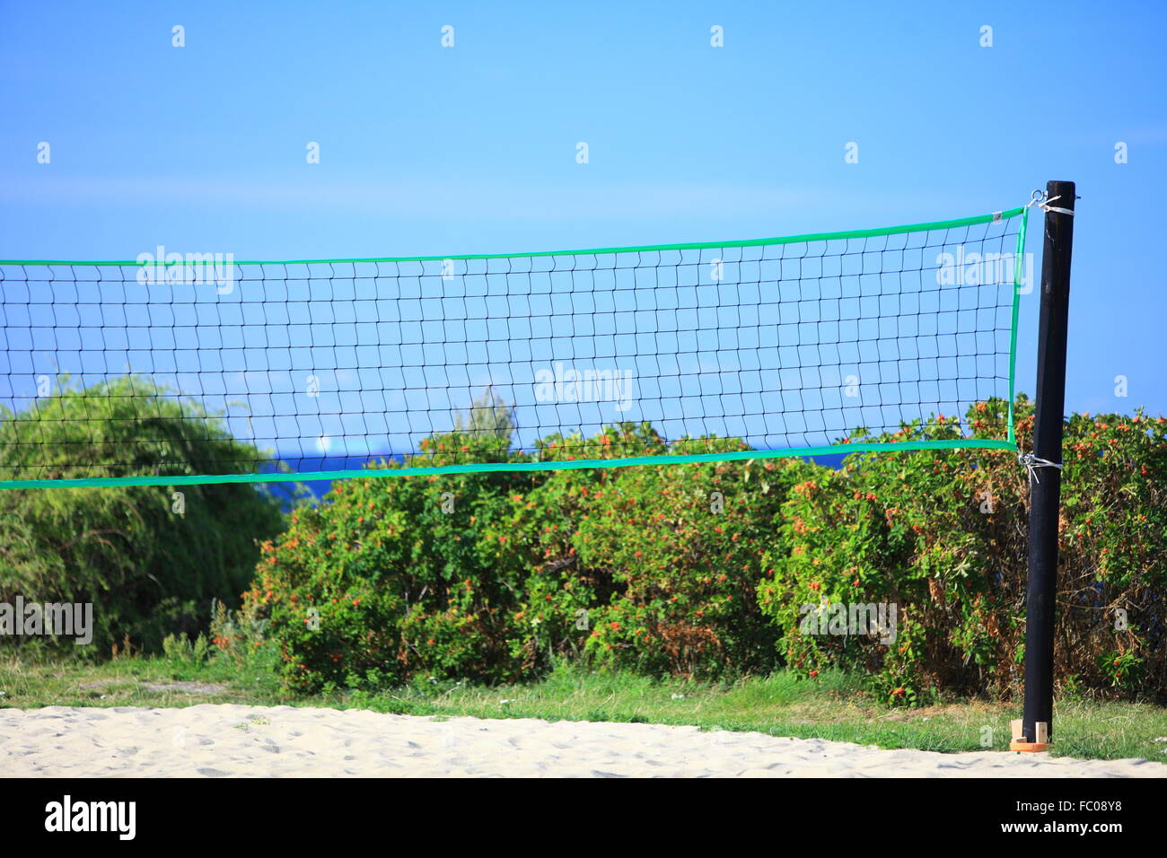 volleyball green net and playing court outdoor Stock Photo Alamy