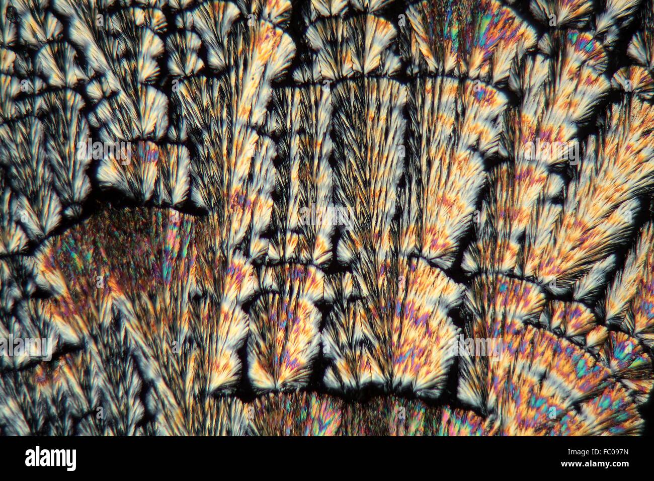 Vitamin C Kristalle unter dem Mikroskop Stock Photo Alamy