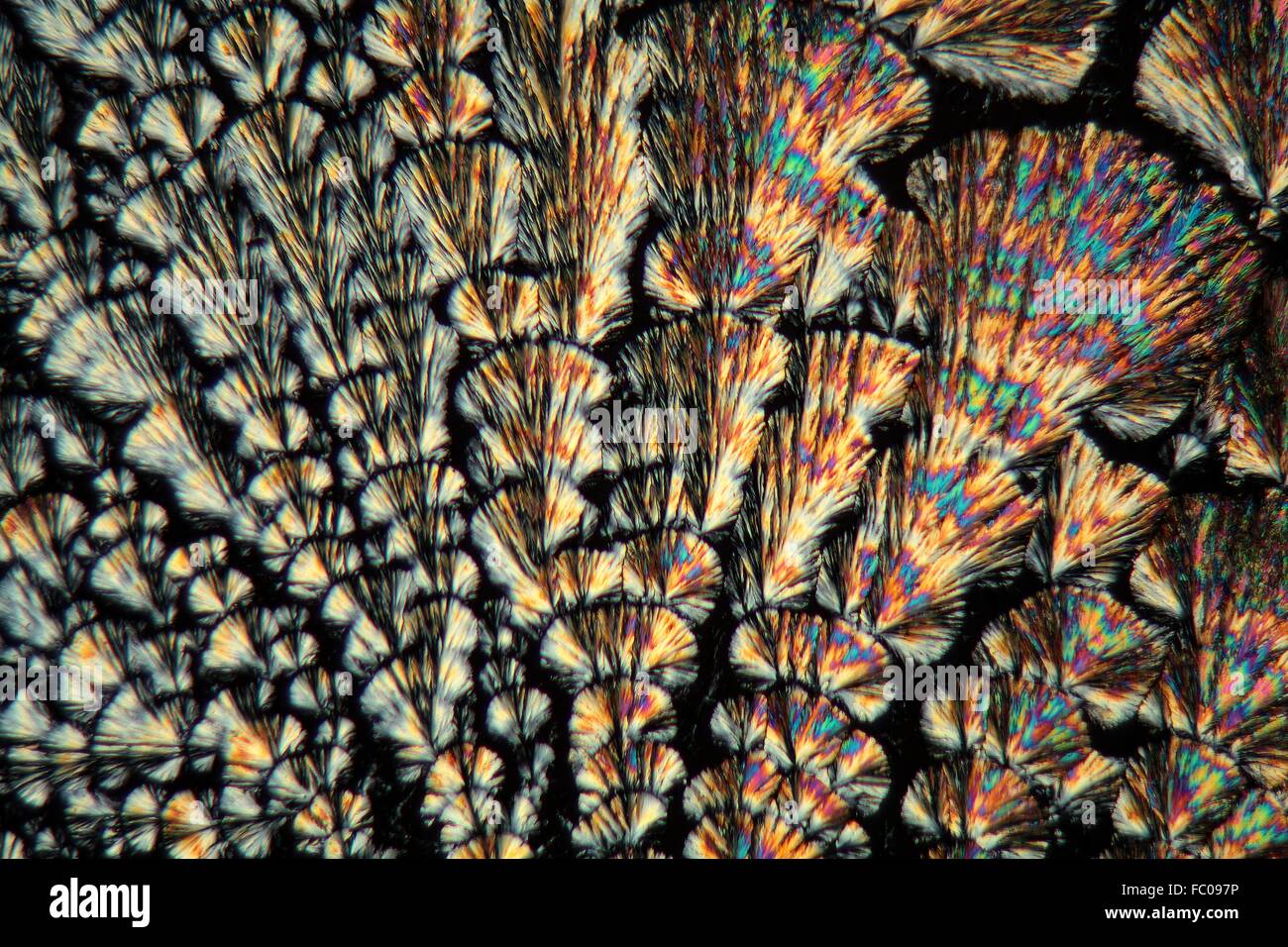 Vitamin C unter dem Mikroskop Stock Photo - Alamy