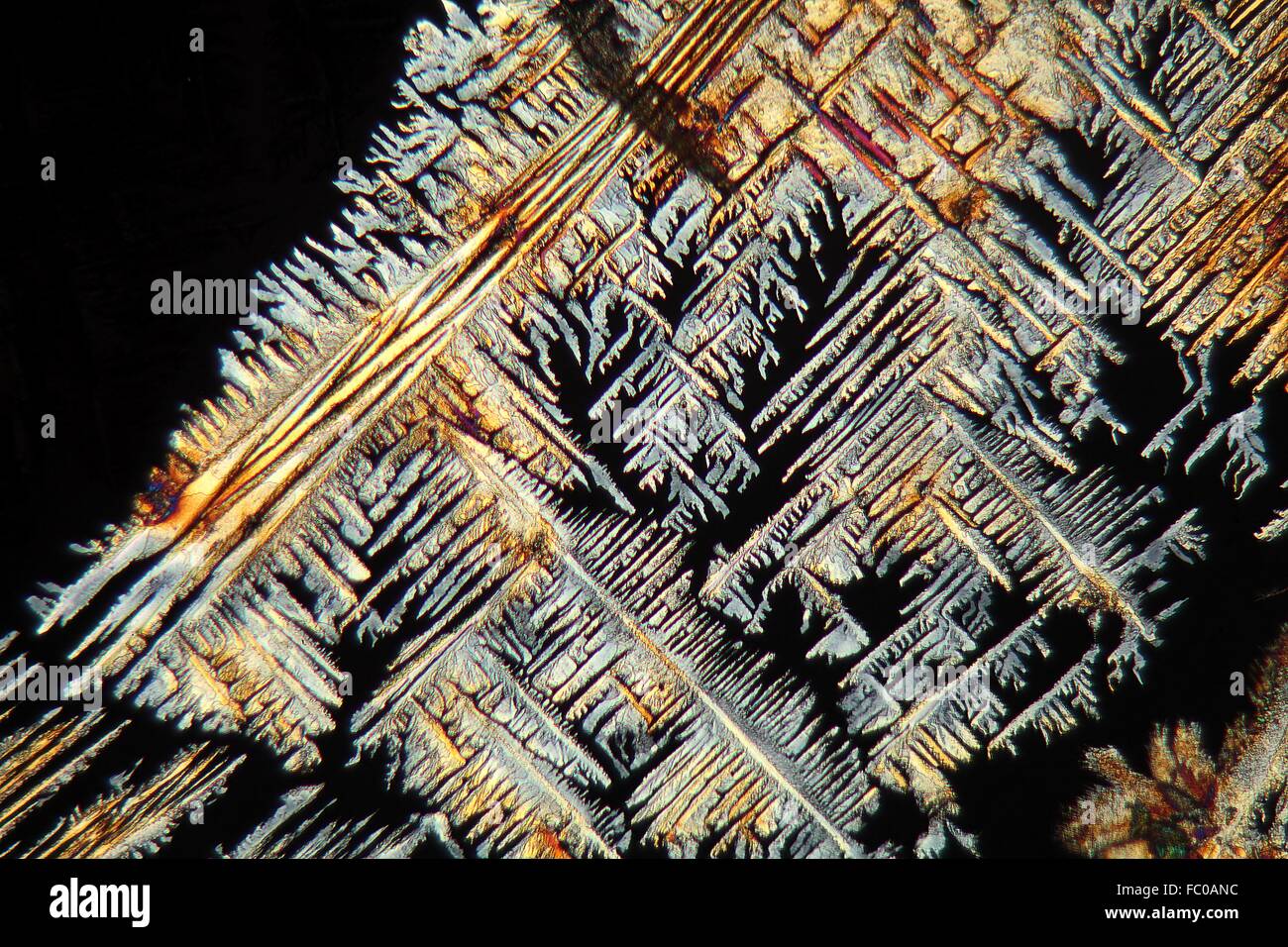 Crystals of Paracetamol under the microscope. Stock Photo