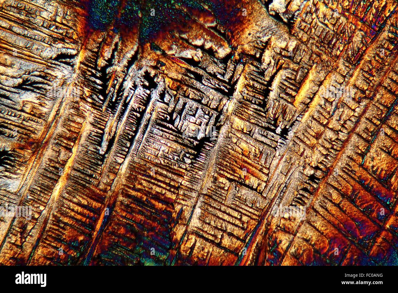 Crystals of Paracetamol under the microscope. Stock Photo