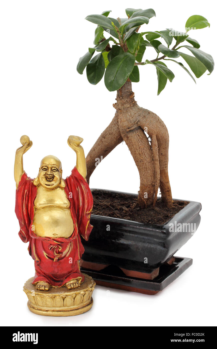 Bonsai buddha hi-res stock photography and images - Alamy