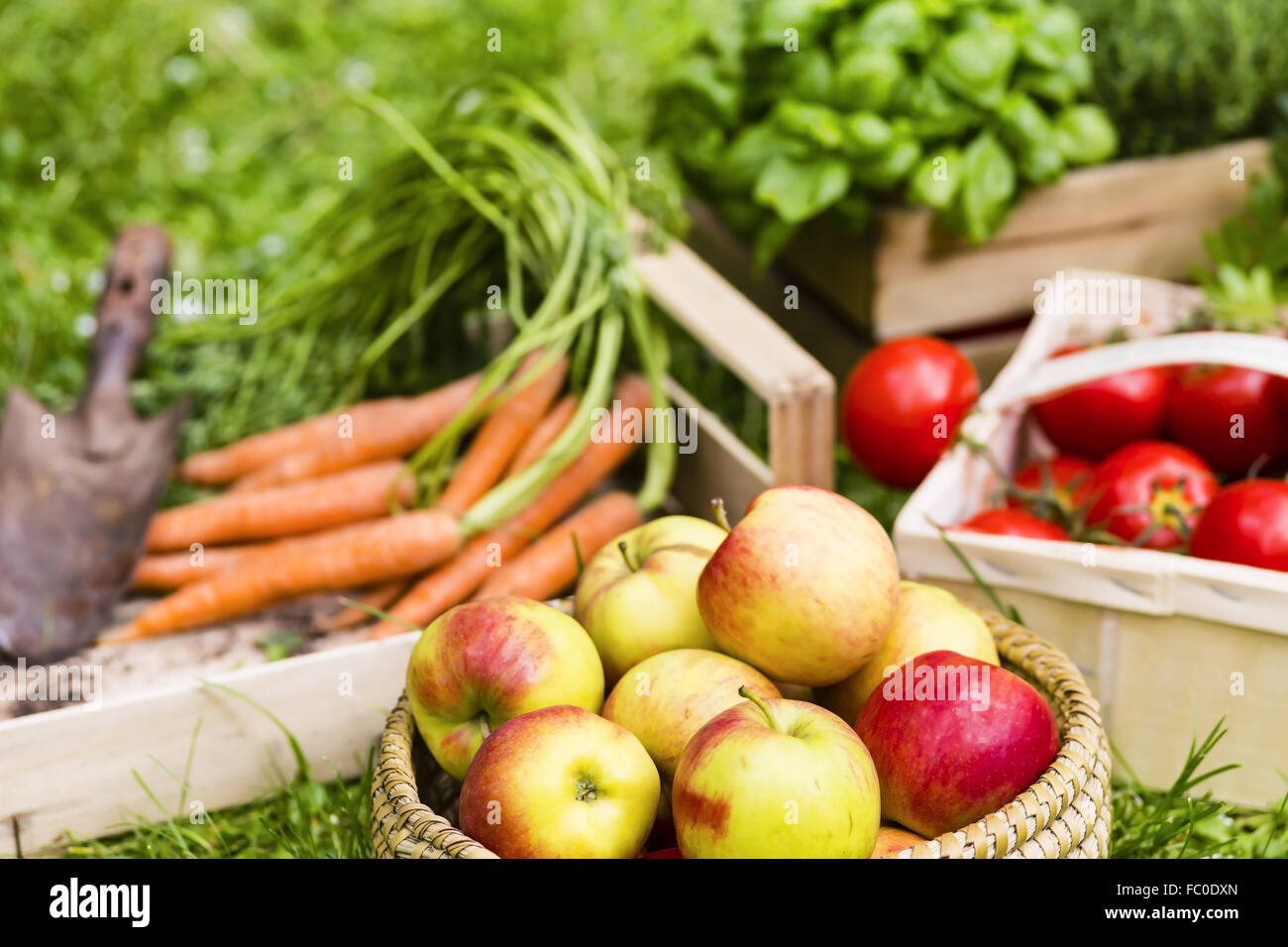 apples and vegetables Stock Photo Alamy