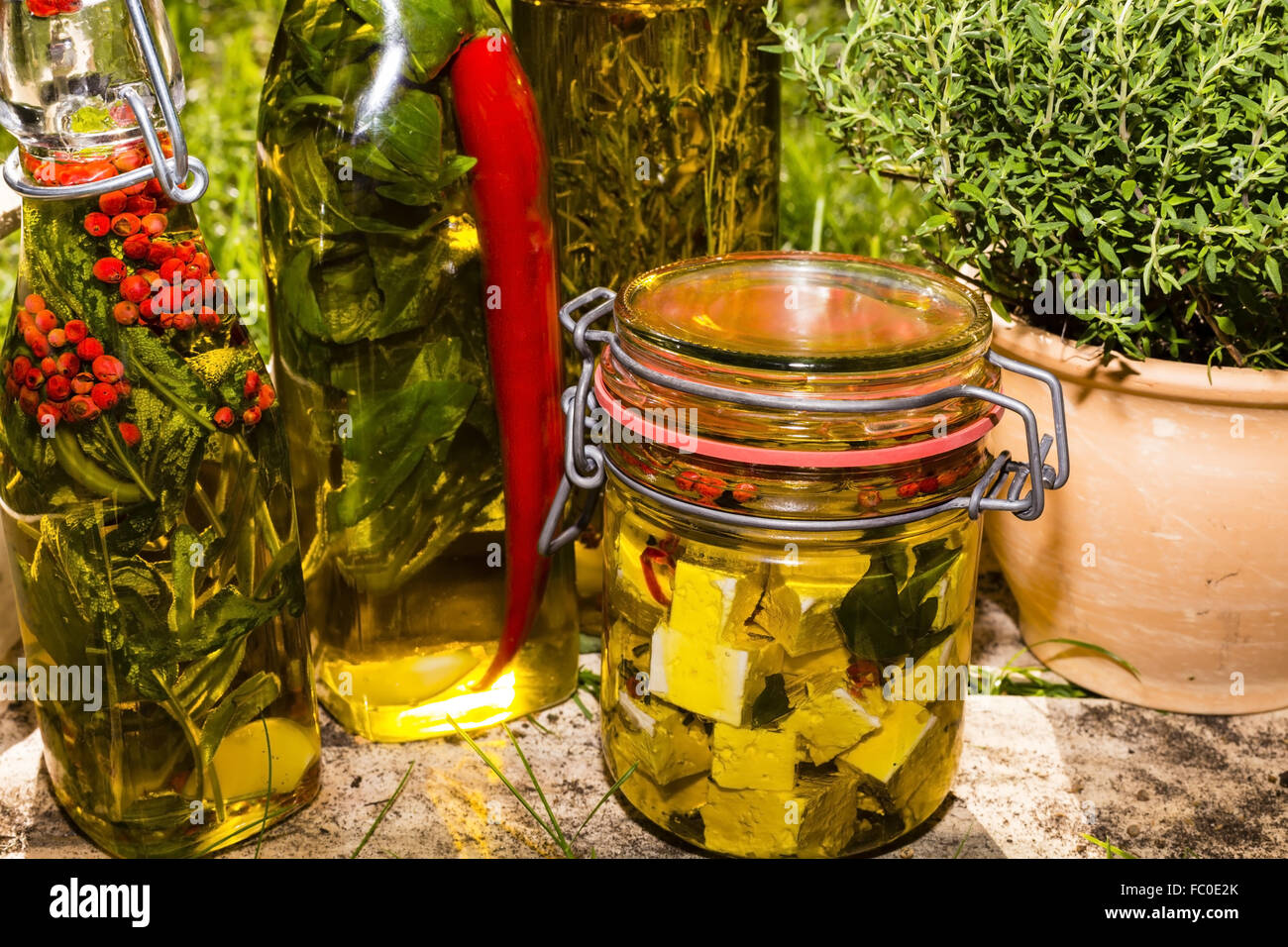 herbs and sheep cheese in oil Stock Photo