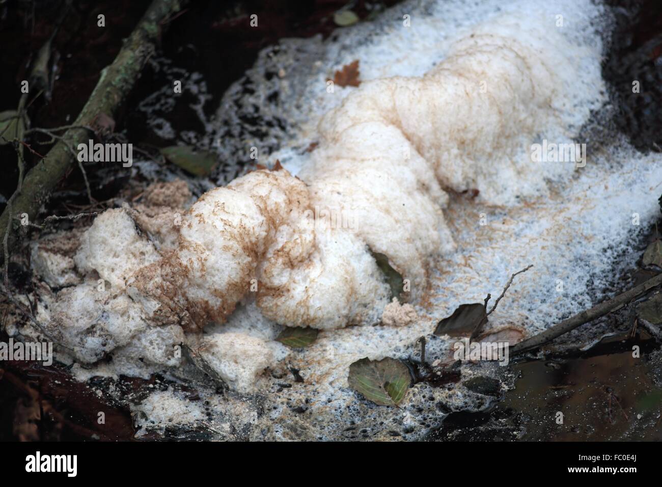 Schaum auf einem Bach Stock Photo