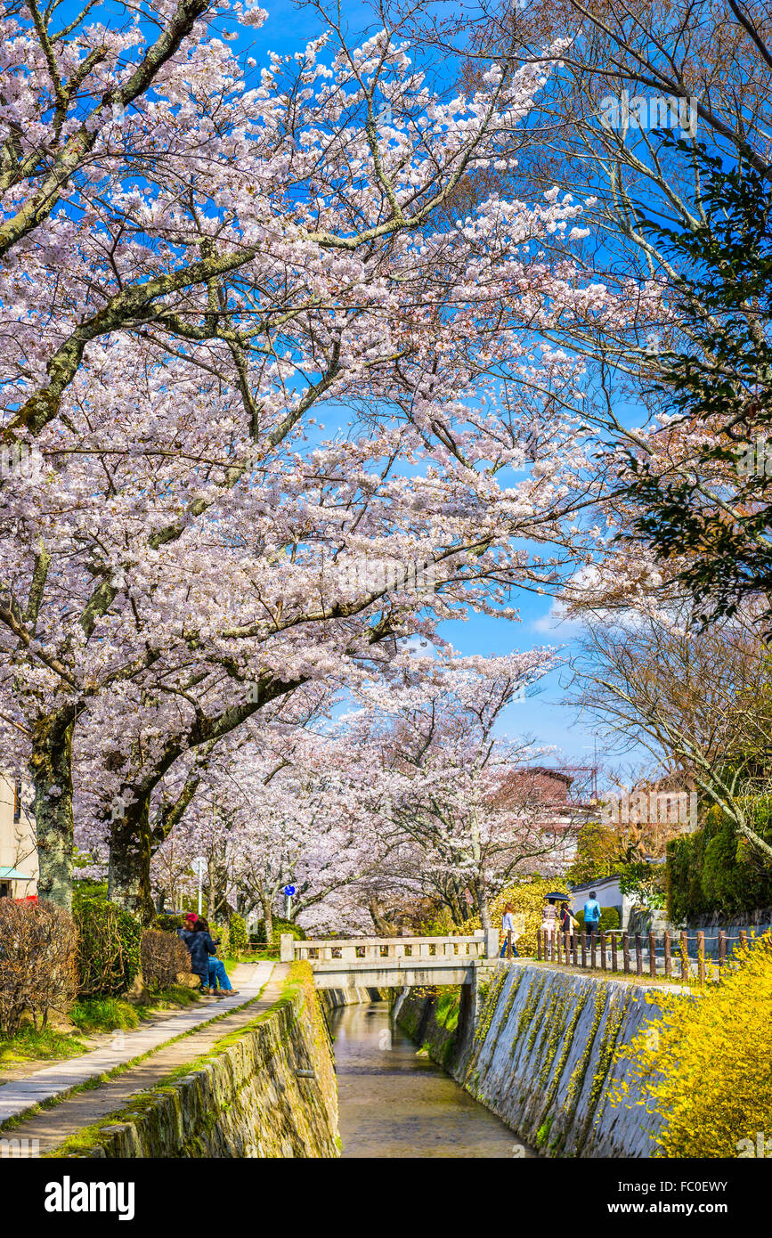 Kyoto, Japan at Philosopher's Walk in the Springtime. Stock Photo