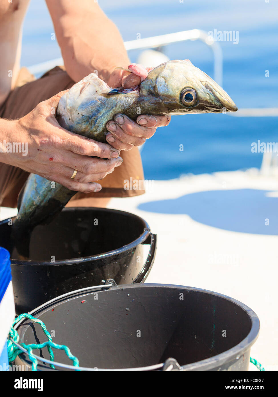 saltwater fishing man cleaning fish outdoor Stock Photo Alamy