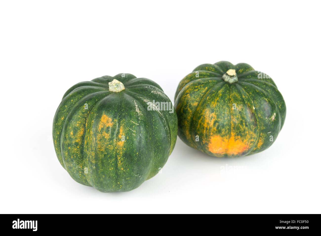 Two acorn squash, pumpkin harvest from Mexico on isolate white background Stock Photo