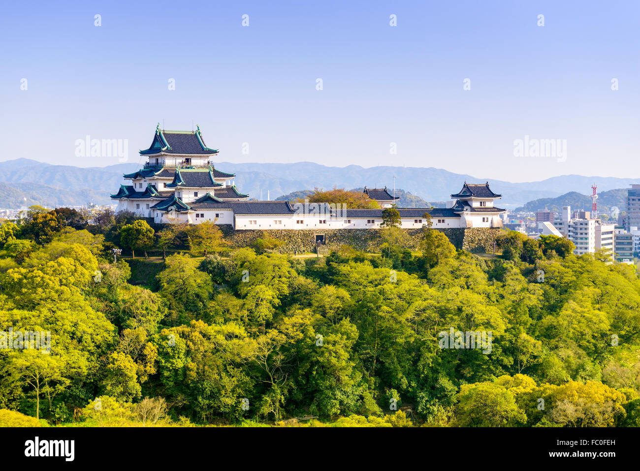 Wakayama, Japan Castle and downtown cityscape. Stock Photo