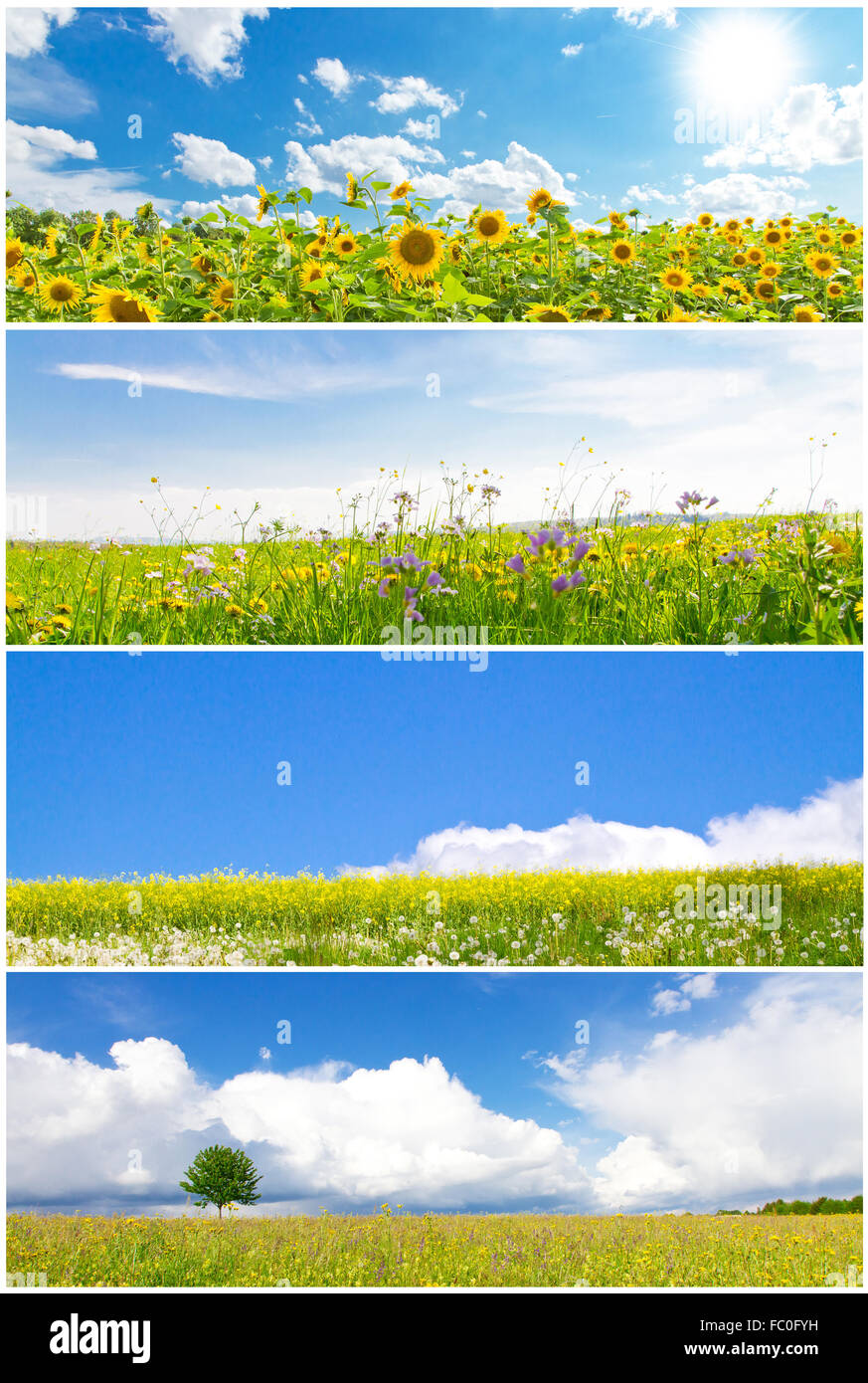 Alm spring hi-res stock photography and images - Alamy