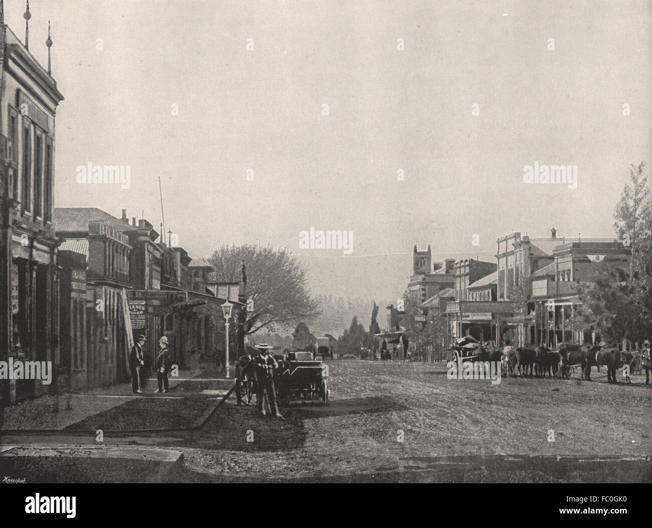 PIETERMARITZBURG. Church Street. South Africa, antique print 1895 Stock