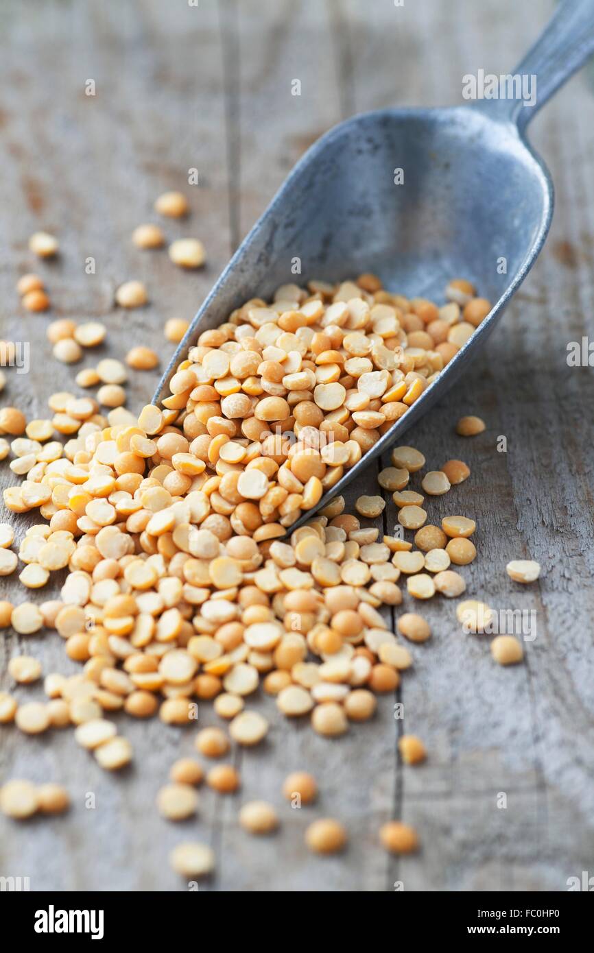 Yellow split lentils shown on a wooden table top with a scoop. Stock Photo