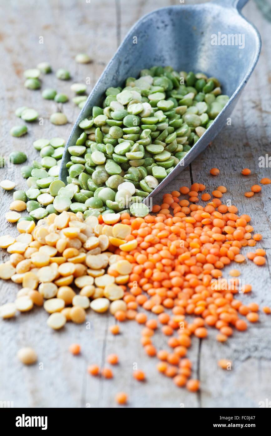 Green split peas, yellow split peas and red lentils in a metal grain