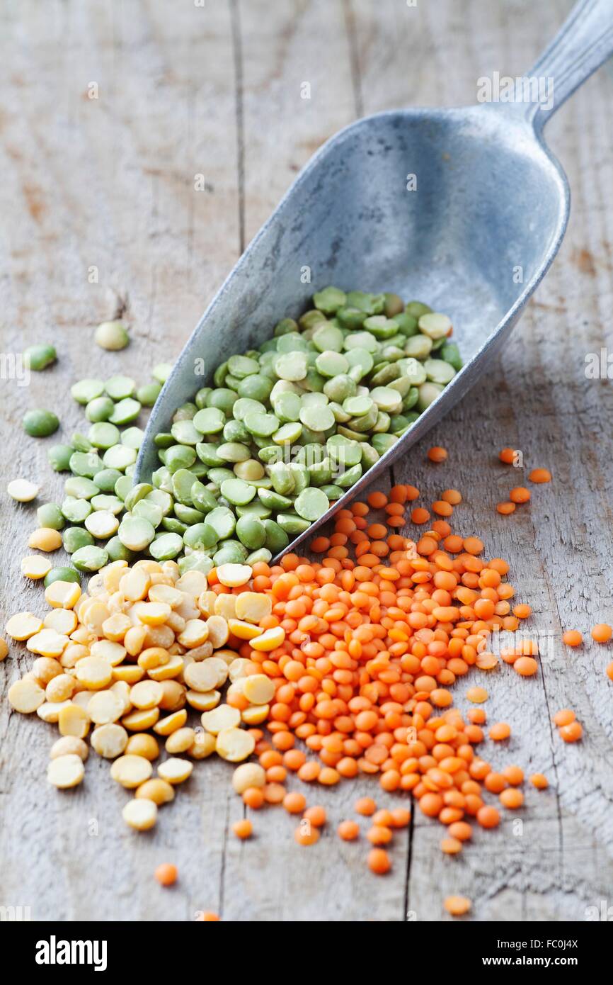 Green split peas, yellow split peas and red lentils in a metal grain