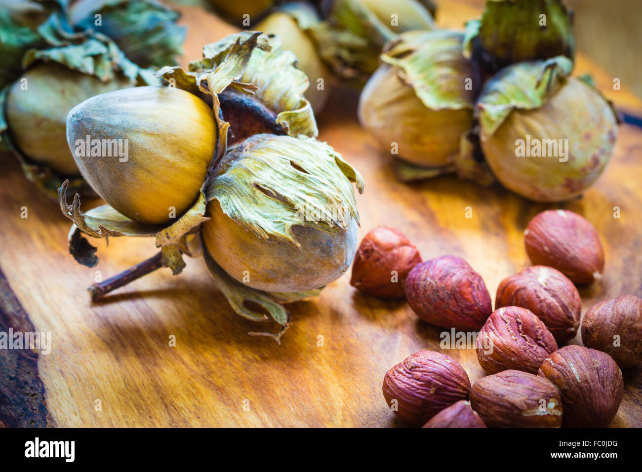 Hazelnuts cluster filbert nuts in the hard shell Stock Photo Alamy