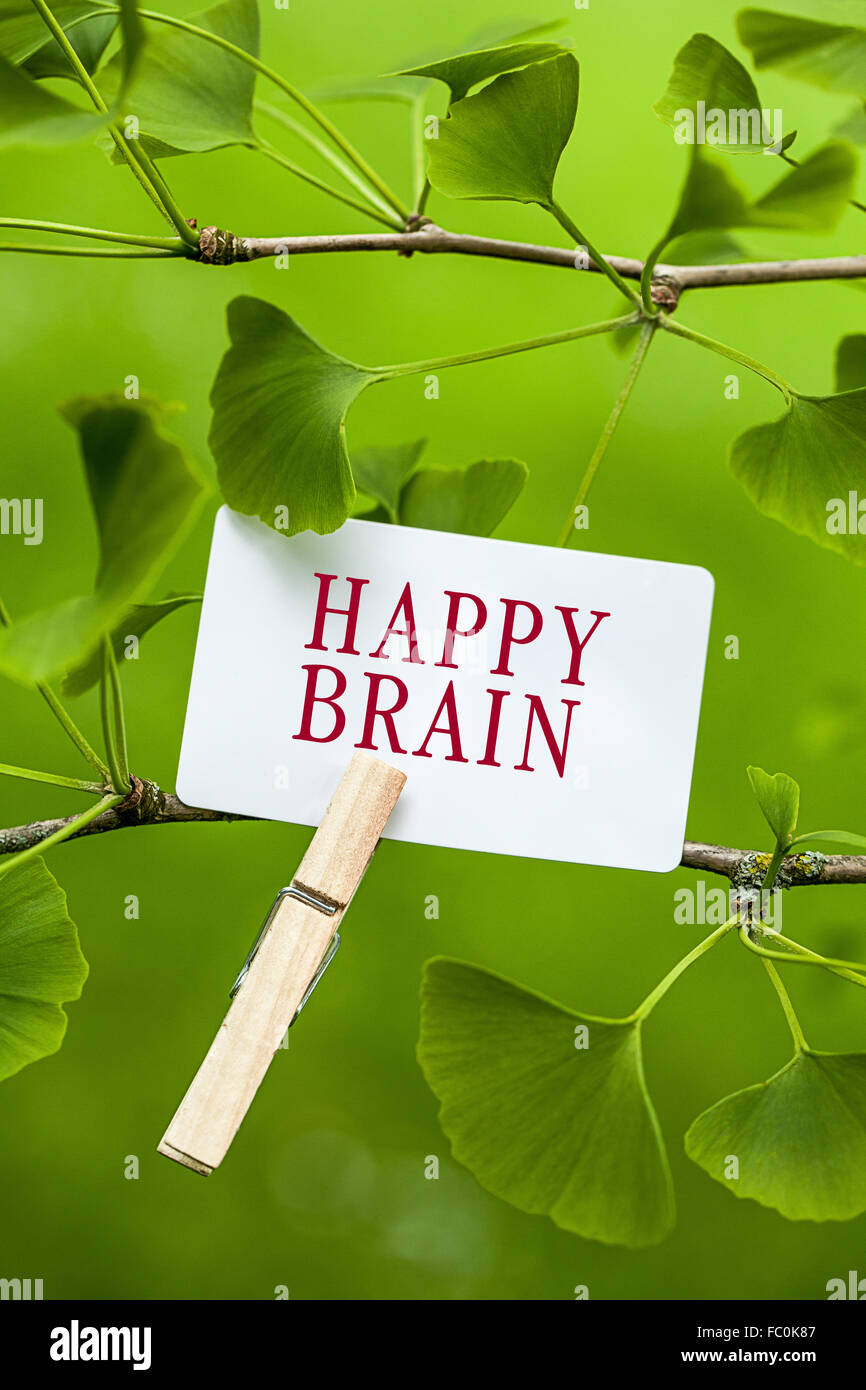 The Word “Happy Brain” in a Ginkgo Tree Stock Photo