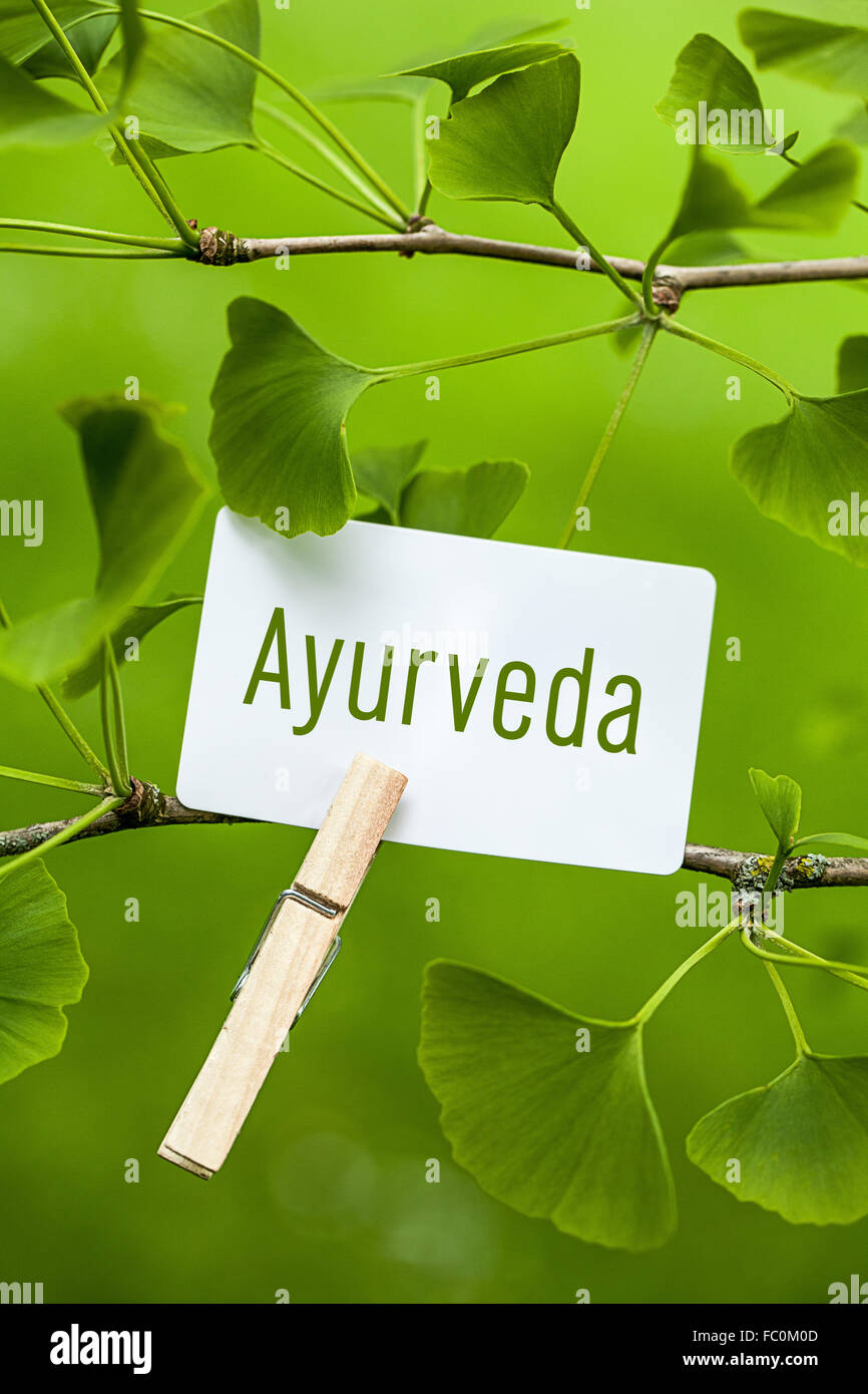 The Word „Ayurveda“  in a Ginkgo Tree Stock Photo