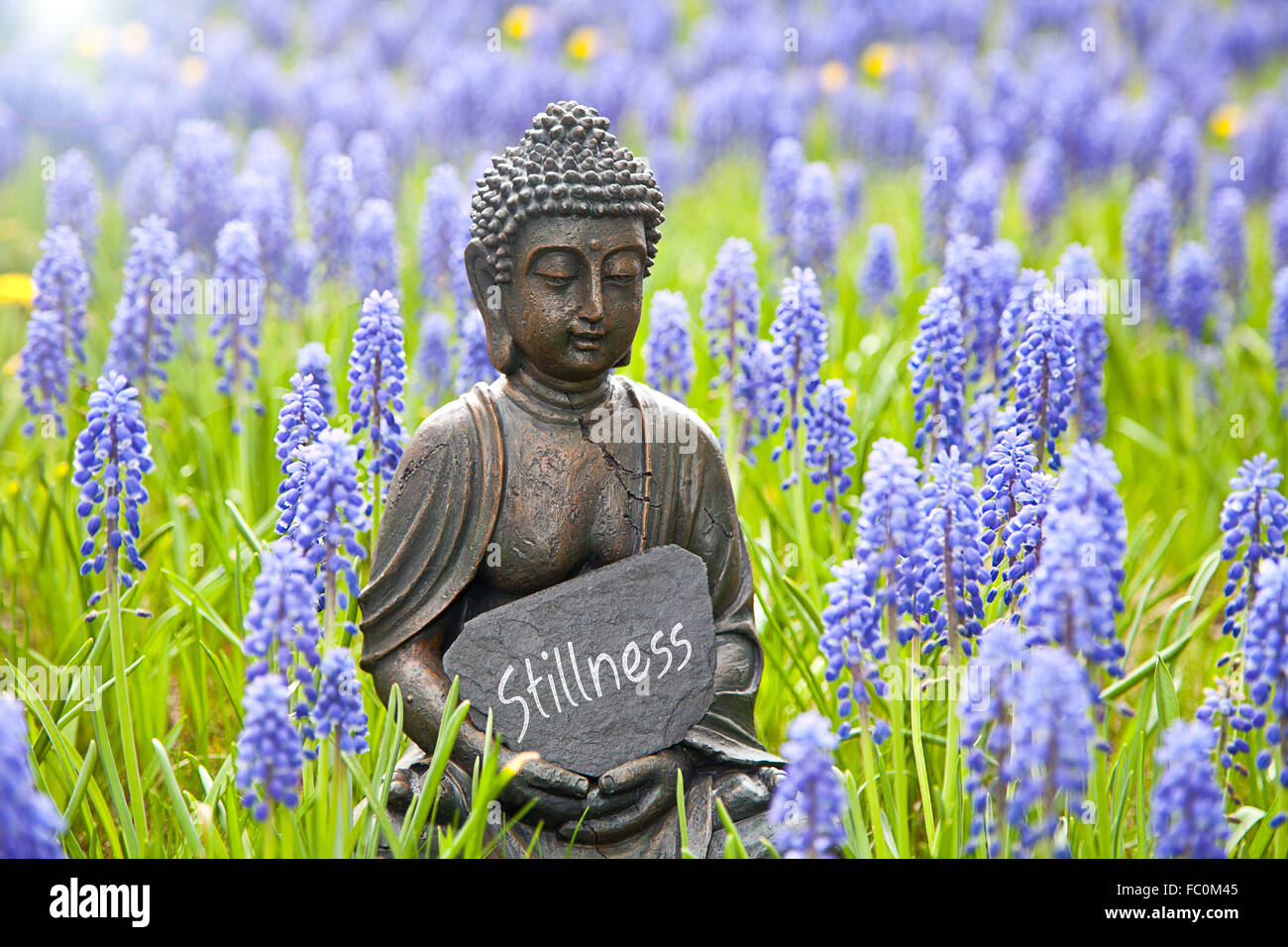 Buddha statue with the word „Stillness“ Stock Photo