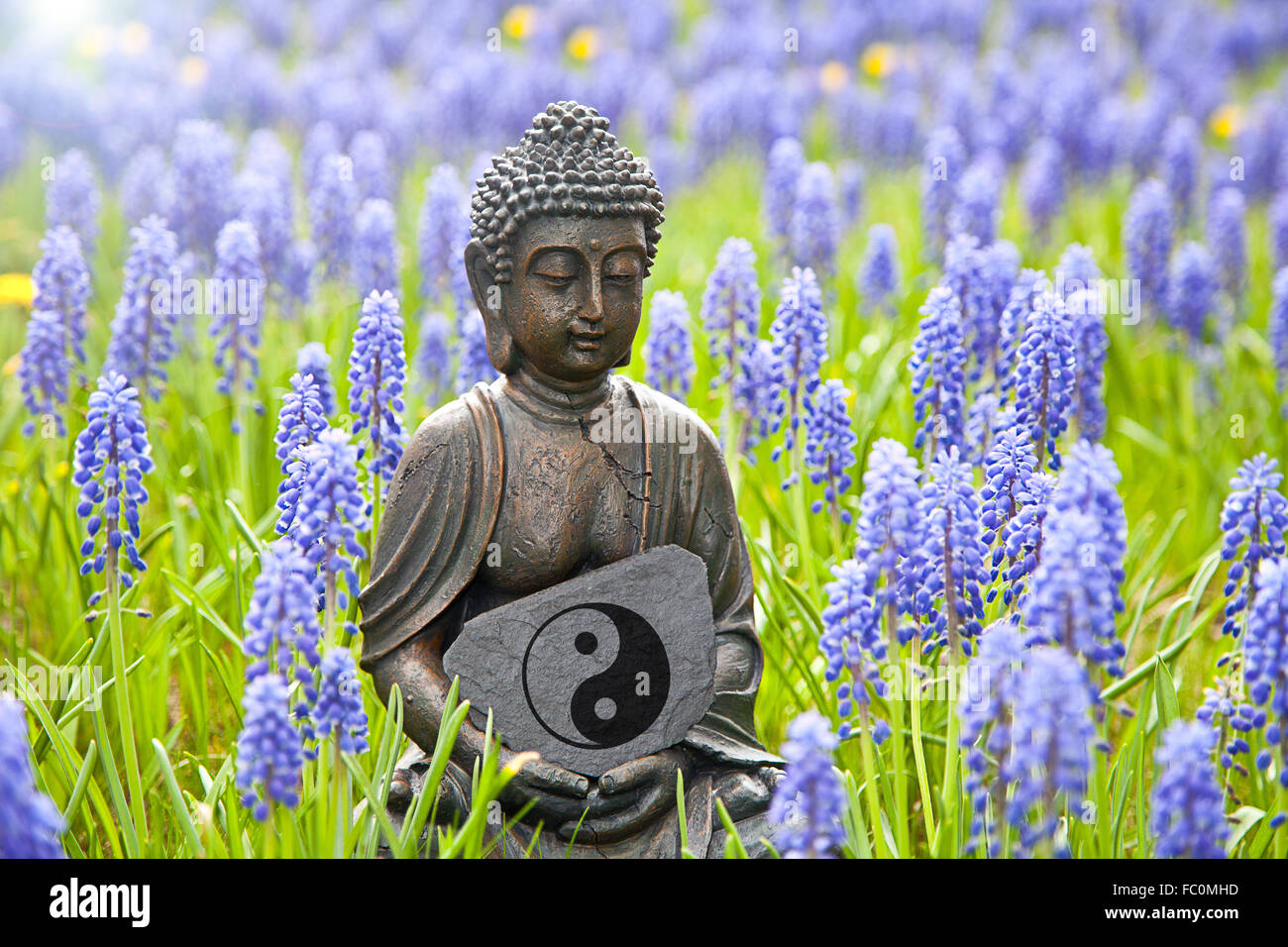Buddha statue with the Yin & Yang Sign Stock Photo
