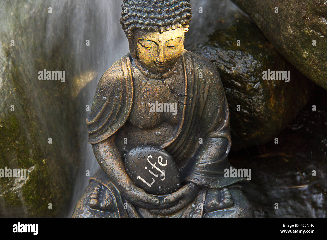 Buddha statue with the word „Life“ Stock Photo Alamy