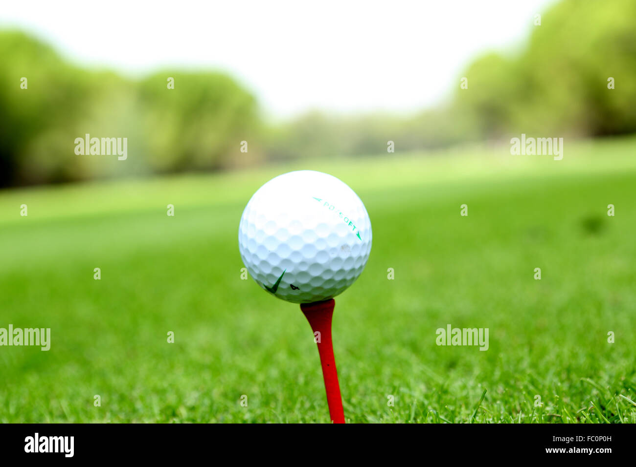 golfball Stock Photo