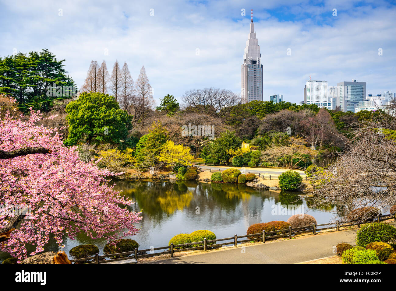 Tokyo, Japan at the Shinjuku District during spring season. Stock Photo