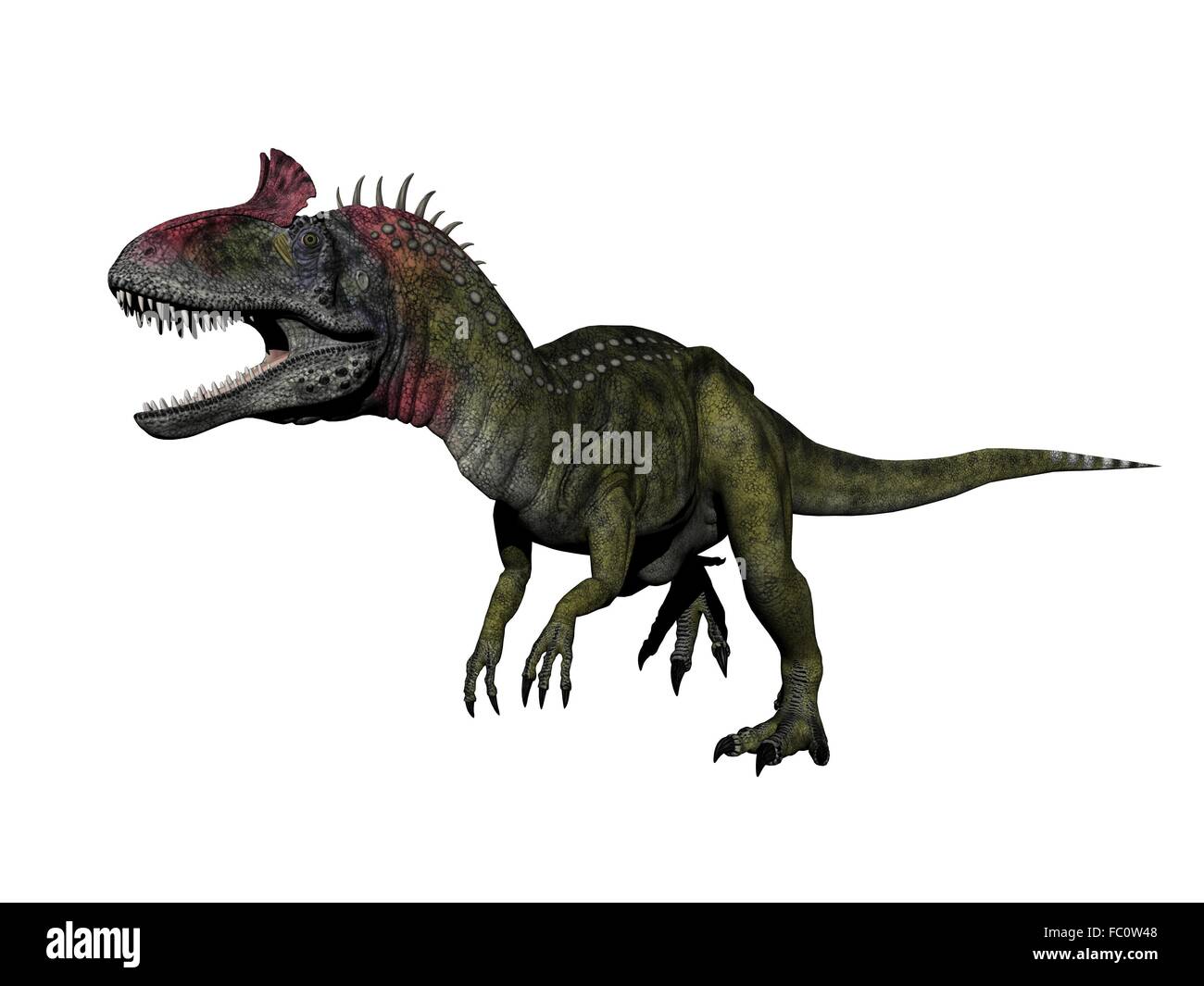 cryolophosaurus dinosaur - 3d render Stock Photo