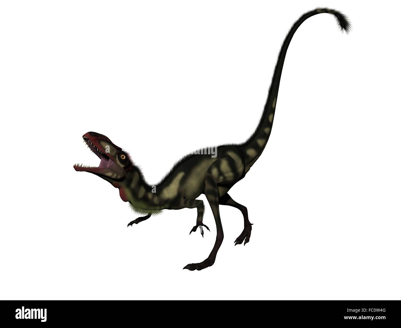 Dilong dinosaur jumping, white background Poster Print - Item #  VARPSTEDV600181P