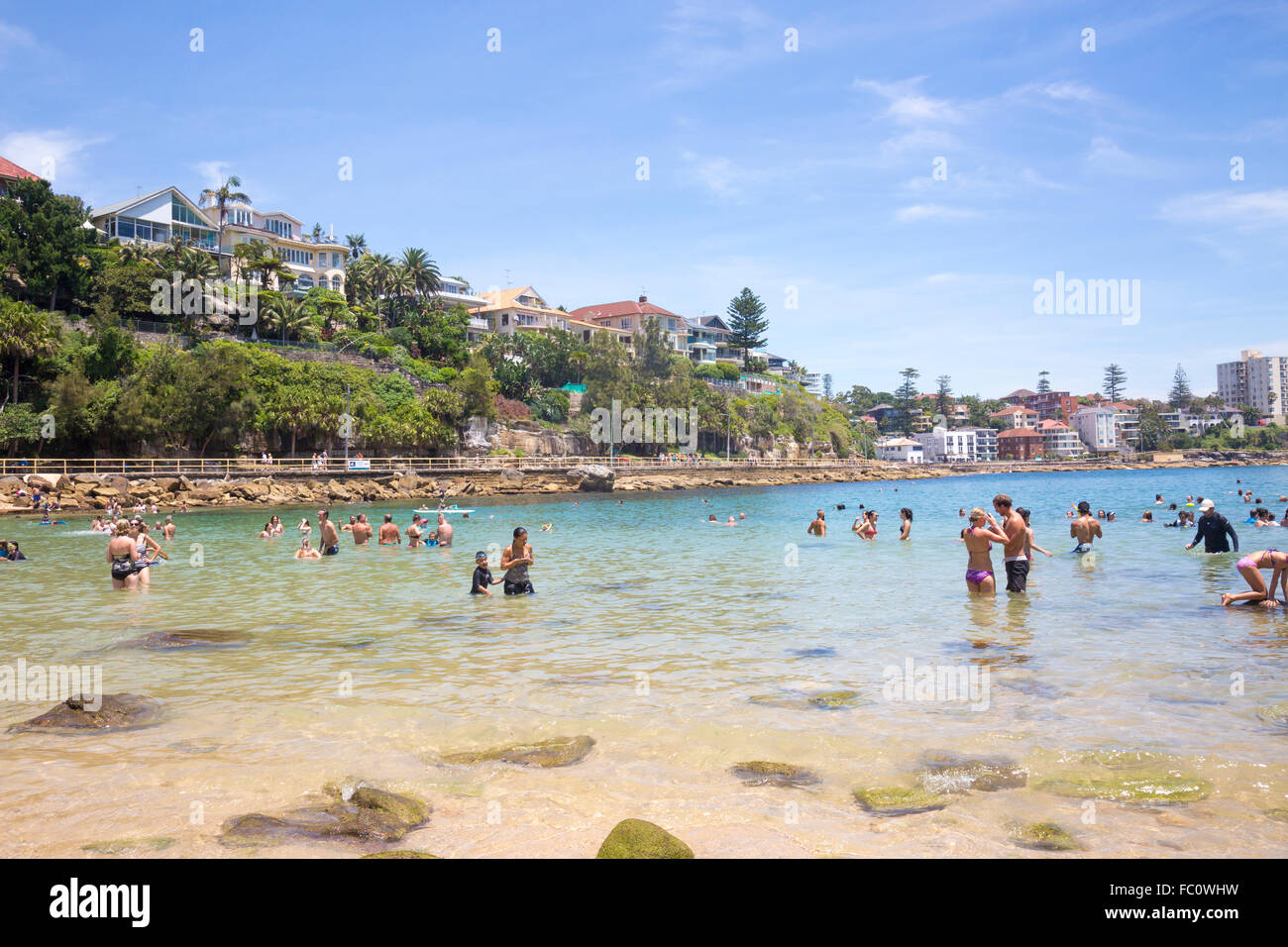 Cabbage tree bay hires stock photography and images Alamy
