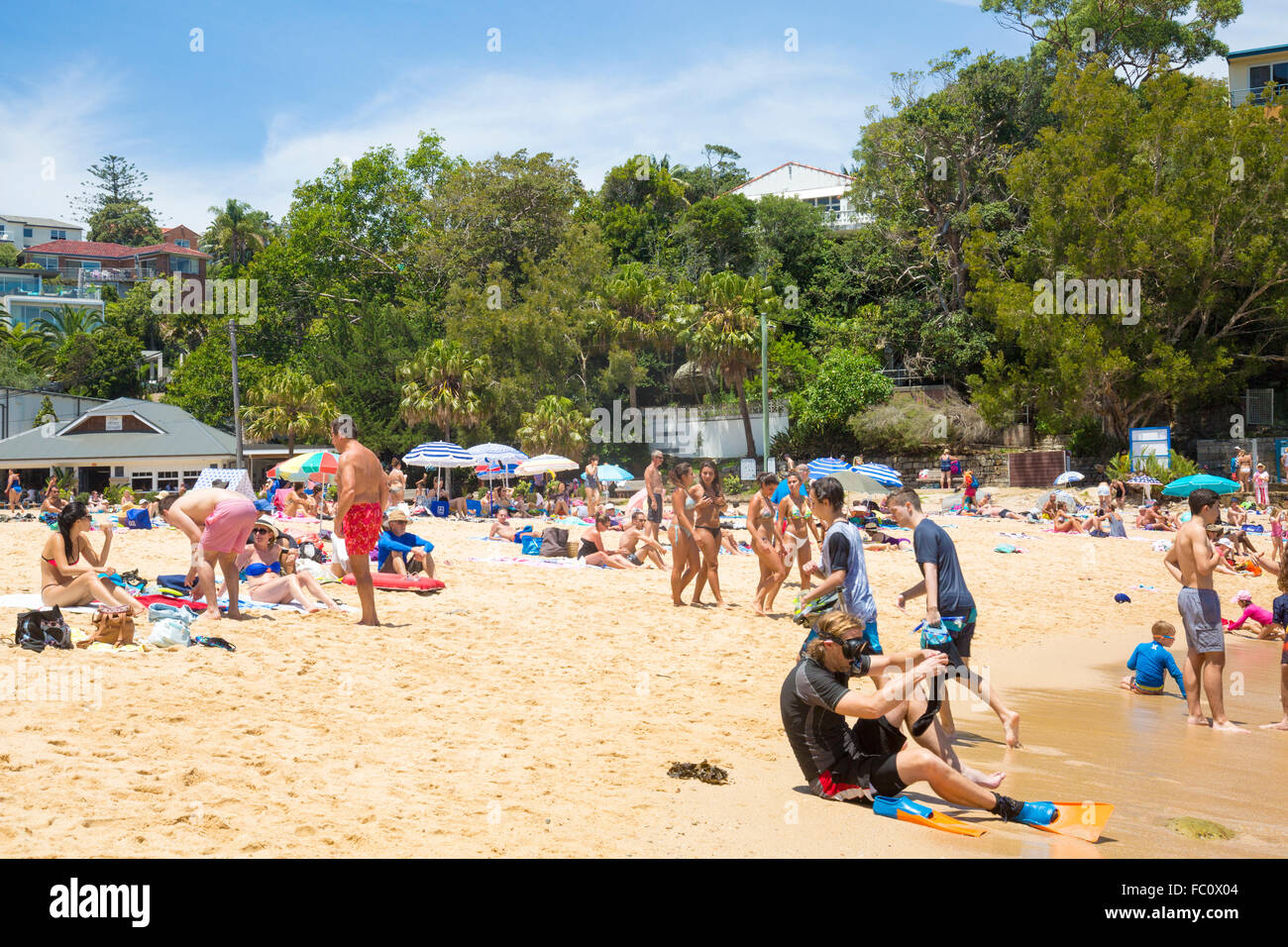 Shelly beach in Manly and cabbage tree bay, New South Wales,Australia