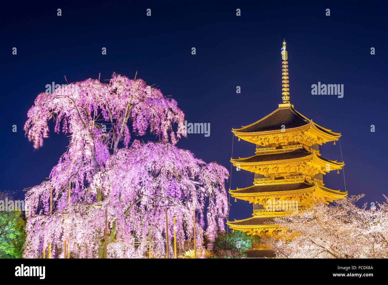 Kyoto, Japan at To-ji pagoda in the springtime. Stock Photo