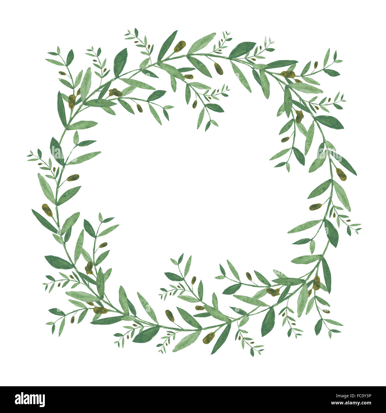 Watercolor olive wreath. Isolated illustration on white background ...