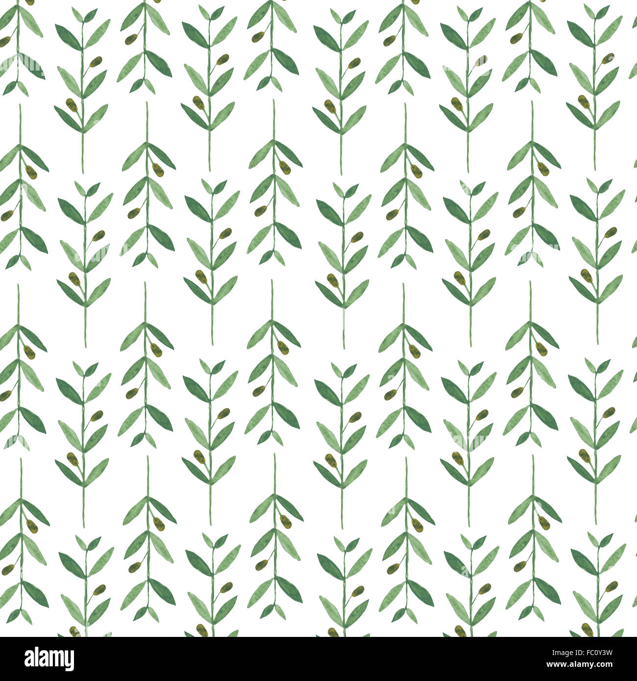 Watercolor pattern with olive branches. Illustration on white background. Nature and Organic concept. Natural product. Stock Photo