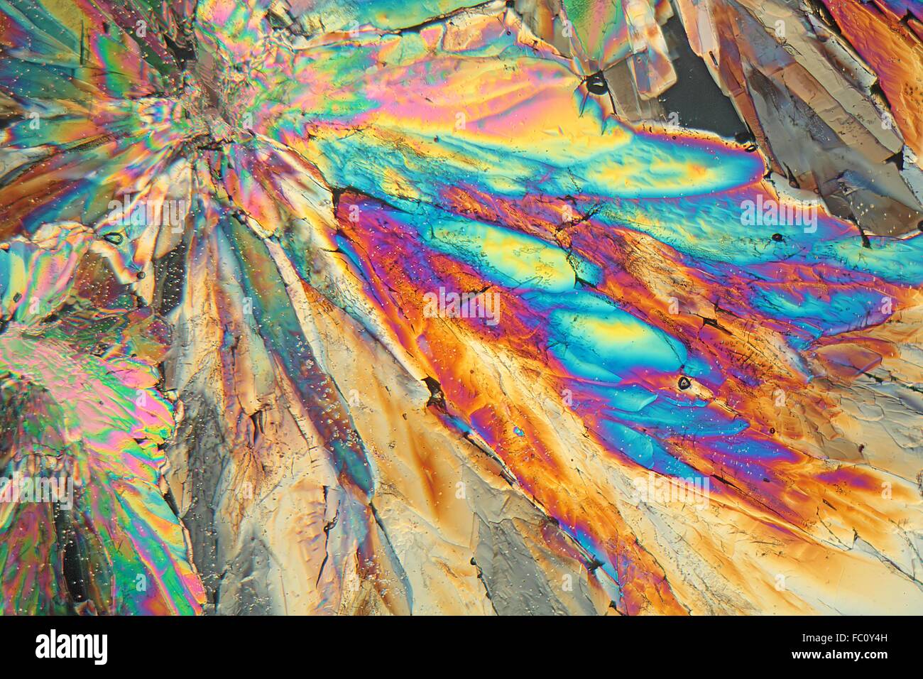 Sugar Crystals under the Microscope Stock Photo