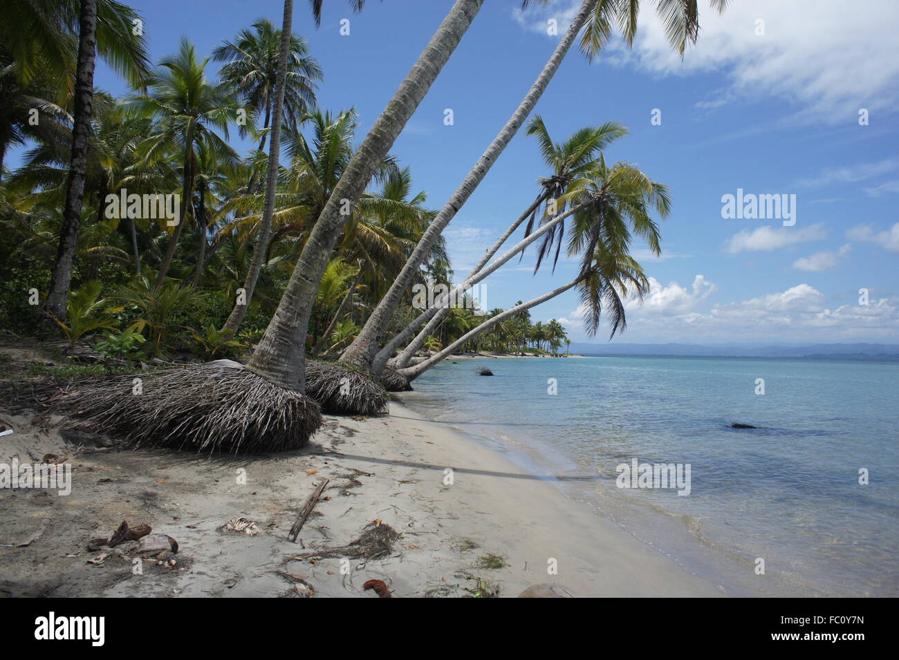Impressions from sunny and green Costa Rica Stock Photo