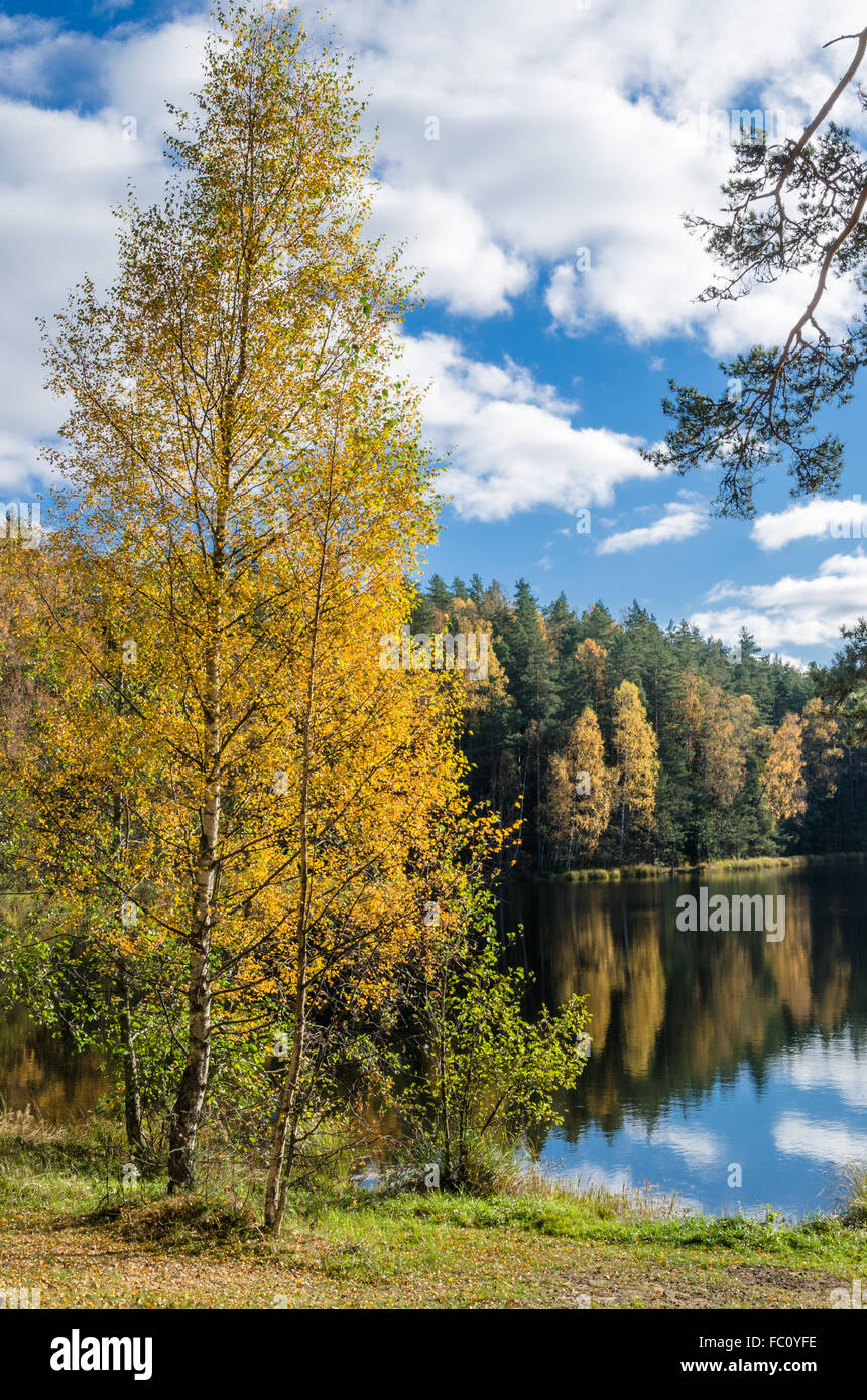Beautiful autumn landscape with forest Lake Stock Photo - Alamy